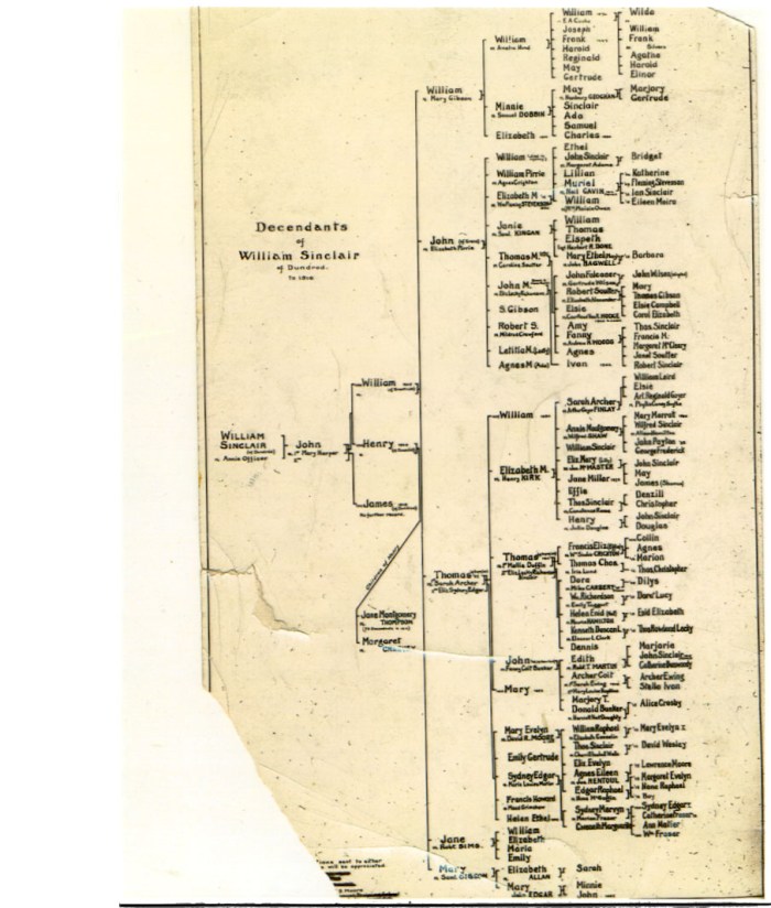 C -- Sinclair Family Tree 1920s